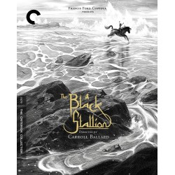 The Black Stallion Blu-ray