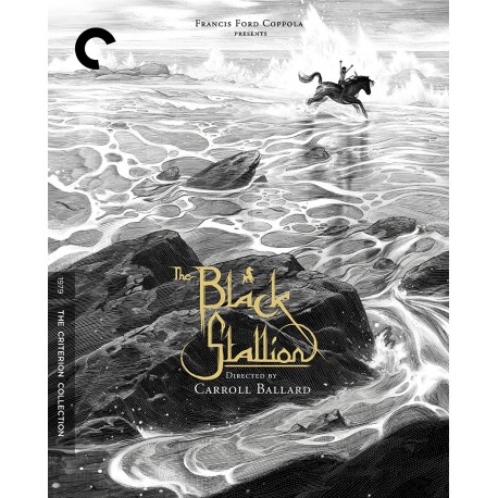 The Black Stallion Blu-ray
