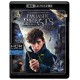Fantastic Beasts and Where to Find Them 4K Ultra HD Blu-ray