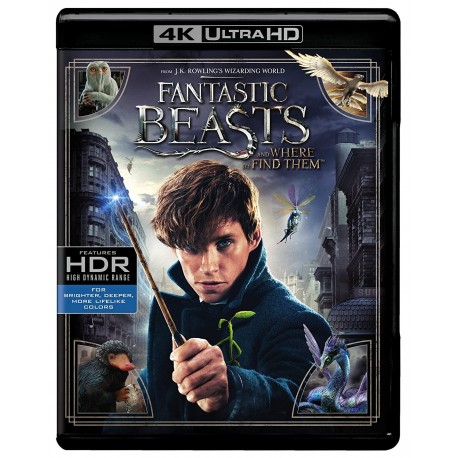 Fantastic Beasts and Where to Find Them 4K Ultra HD Blu-ray