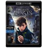 Fantastic Beasts and Where to Find Them 4K Ultra HD Blu-ray