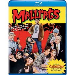 Mallrats Blu-ray