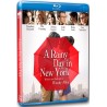 A Rainy Day in New York Blu-ray