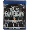 Young Frankenstein Blu-ray