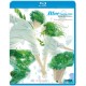 Blue Spring Ride Blu-ray