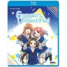 Engaged to the Unidentified Blu-ray