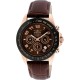 Watch Invicta 10712 Men Speedway Gold Ion-Plated Stainles (Importación USA)