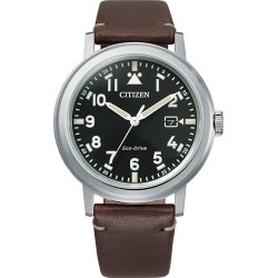 Watch Citizen AW1620-21E Eco-Drive Black Dial Brown Leather Men