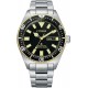 Watch Citizen NY0125-83E PROMASTER [Marine Series Mechanical Diver 200m] Japan Domestic