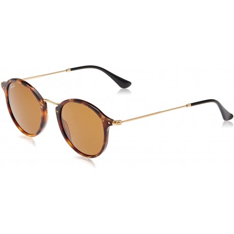 Sunglasses Ray Ban Ray-Ban Rb2447 Fleck Round