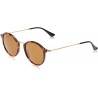 Sunglasses Ray Ban Ray-Ban Rb2447 Fleck Round