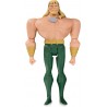 Action Figure DC Collectibles Justice League Animated Aquaman AF (Net)