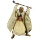 Action Figure Star Wars The Black Series Archive Collection Tusken Raider 6-Inch-Scale A New Hope Lucasfilm 50th Anniversary Collectible Figure