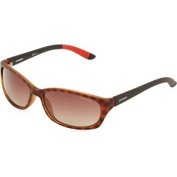 Carrera Men's CA8016/S Polarized Rectangular Sunglasses