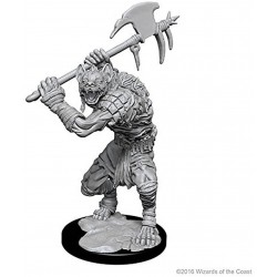 D&D Nolzurs Marvelous Unpainted Miniatures: Wave 1: Gnolls