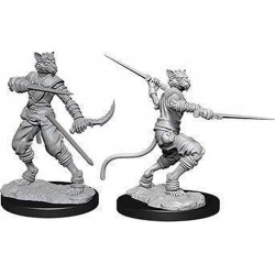 D&D Nolzurs Marvelous Unpainted Miniatures: Wave 7: Male Tabaxi Rogue