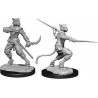 D&D Nolzurs Marvelous Unpainted Miniatures: Wave 7: Male Tabaxi Rogue