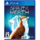 Spirit of The North