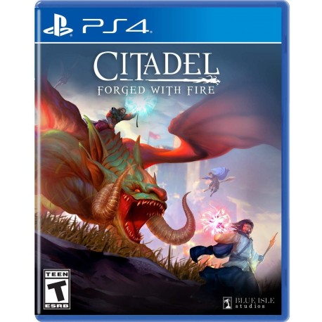 Citadel Forged with Fire - PlayStation 4 Standard Edition