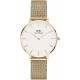 Reloj DW00100348 Daniel Wellington Petite Evergold Watch, Gold Mesh Bracelet