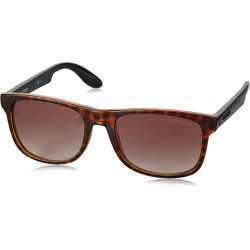 Gafas CARRERA CARRERINO_17 SUNGLASSES