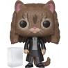 Figura HARRY POTTER Hermione Granger as Cat Funko Pop! Vinyl Figure Bundled Compatible Pop Box Protector Case