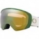 Fall Line M Snow Goggle