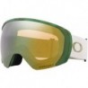Fall Line M Snow Goggle
