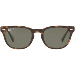 RB4140 Wayfarer Sunglasses