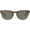 RB4140 Wayfarer Sunglasses