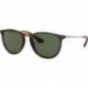 Rb4171 Erika Round Sunglasses