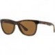 RB4184 Square Sunglasses