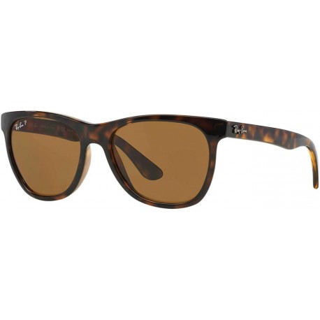 RB4184 Square Sunglasses