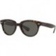 Rb2199 Orion Square Sunglasses