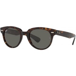 Rb2199 Orion Square Sunglasses
