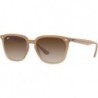 Rb4362 Square Sunglasses