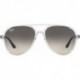 Rb4376 Pilot Sunglasses
