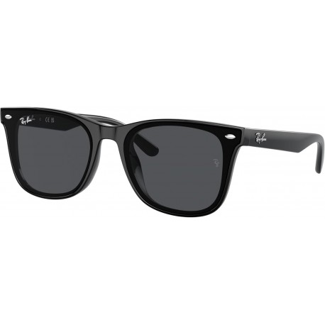 RB4420 Square Sunglasses for Men for Women + BUNDLE With Designer iWear Complimentary Eyewear Kit