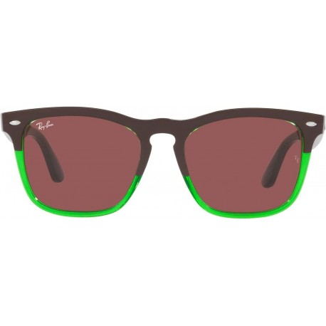 RB4487 Steve Square Sunglasses