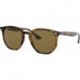 RB4306 Irregular Sunglasses for Men for Women + BUNDLE With Designer iWear Eyewear Kit