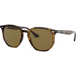 RB4306 Irregular Sunglasses for Men for Women + BUNDLE With Designer iWear Eyewear Kit