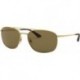 Rb3654 Square Sunglasses