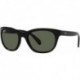 0RB4216601/7156 0Rb4216 Black Dark Green Lens