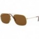 Rb3595 Andrea Square Sunglasses