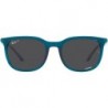 RB4386 Square Sunglasses