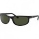 RB2027 Predator 2 Sunglasses Matte Black w/Crystal Green (W1847) 2027 W1847 62mm Authentic, 62 mm