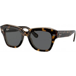 State Street RB2186 Square Sunglasses for Men for Women + BUNDLE With Designer iWear Eyewear Kit
