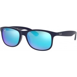 RB4202 ANDY Sunglasses For Men For Women+ BUNDLE with Designer iWear Eyewear Care Kit