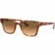 Rb4323 Square Sunglasses