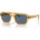Ray-Ban Corrigan RB4397 Irregular Sunglasses for Men for Women + BUNDLE With Designer iWear Complime